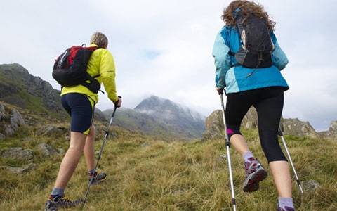 Bridgedale brand page carousel