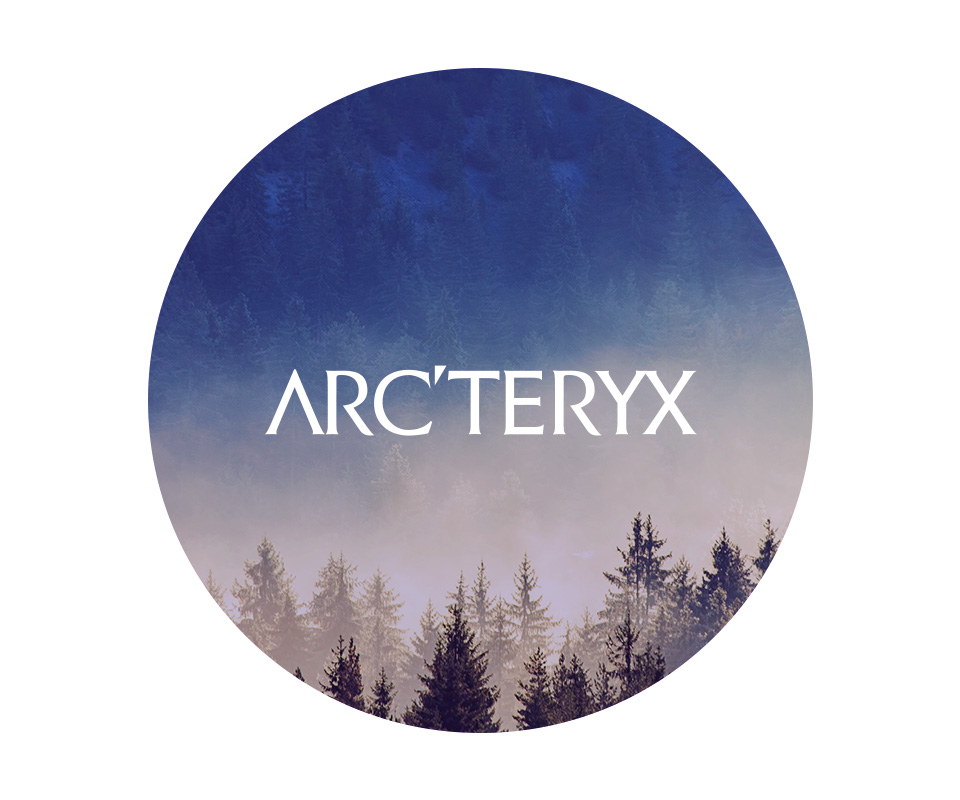 Arcterix logo