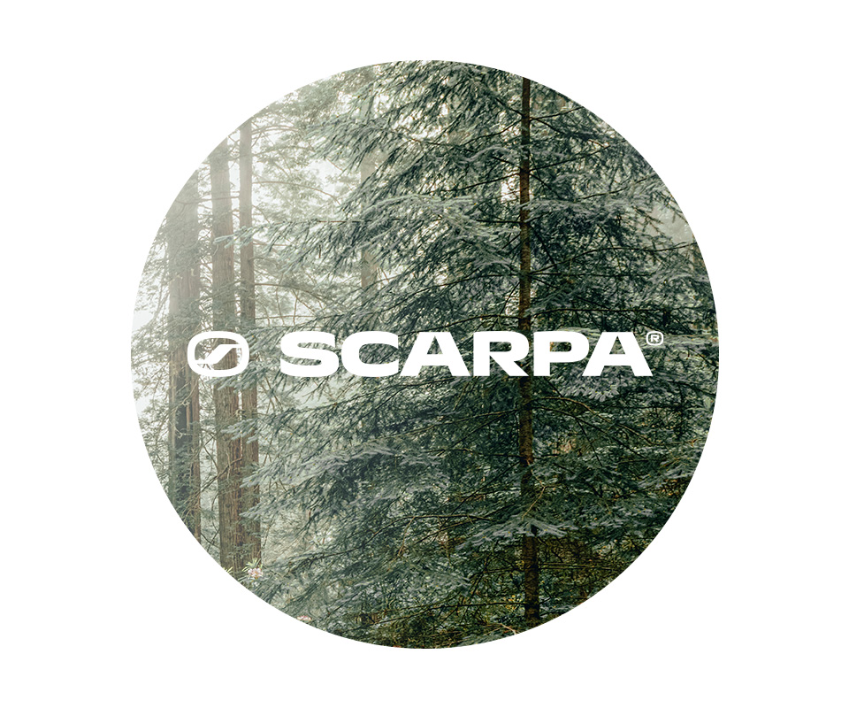 Scarpa logo