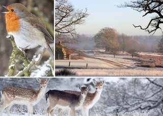 ukwinterwalksmarlpit