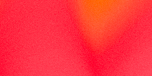 Christmas tree in living room