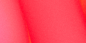 Christmas tree in living room